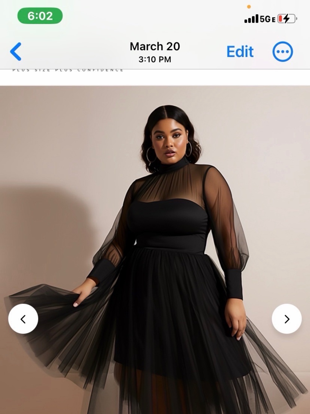 Sheer Long-Sleeve Black Tulle Dress